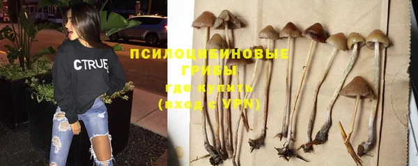 героин Сатка