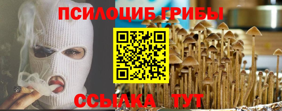Златоуст  Галлюциногенные грибы ЛСД  Галлюциногенные грибы прущие грибы  Вход с VPN 