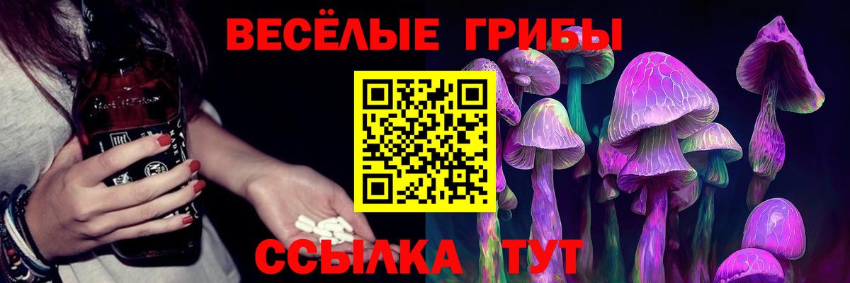 Псилоцибиновые грибы Psilocybe Златоуст
