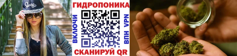 Бошки марихуана планчик Златоуст